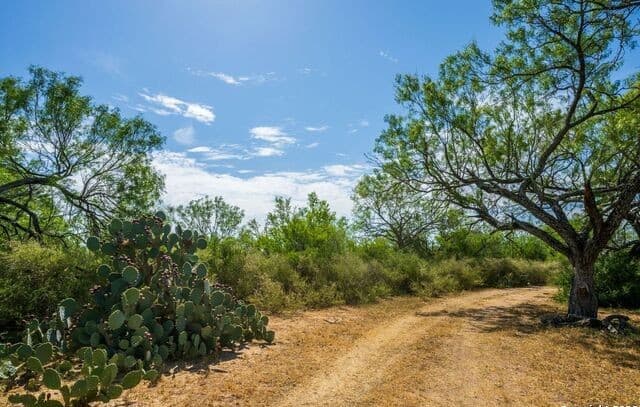 CR 732  Cr, Yancey, TX 78886 — photo 5