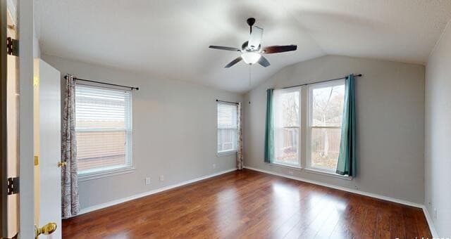 8010  Seminario, San Antonio, TX 78250 — photo 23