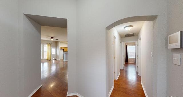 8010  Seminario, San Antonio, TX 78250 — photo 3