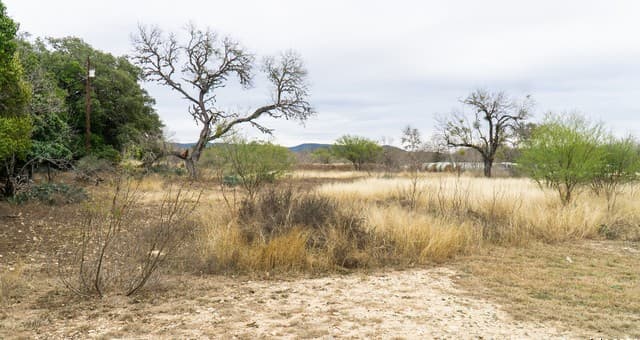 730 N Main, Utopia, TX 78884 — photo 23