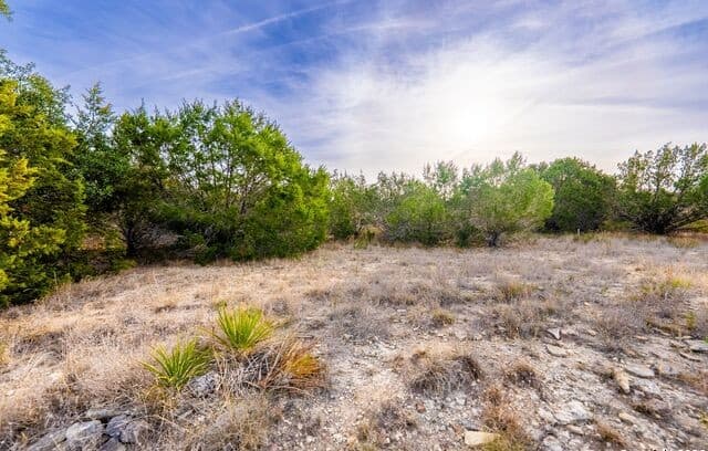 268  Secret Way, Spring Branch, TX 78070 — photo 18