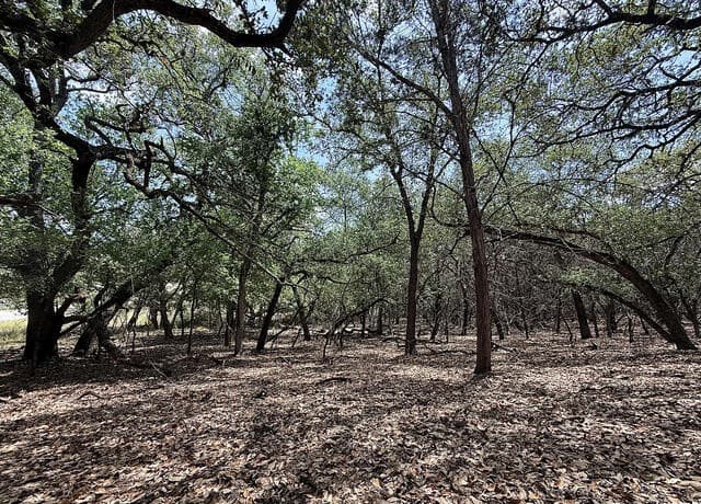 7820  Ventura Boulevard, Selma, TX 78154 — photo 7