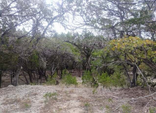 0 Frio, Bandera, TX 78003
