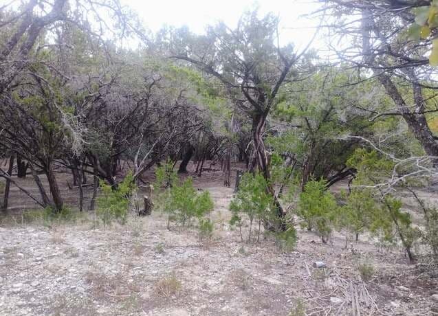 0  Frio, Bandera, TX 78003 — photo 2
