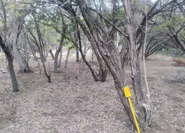 0  Frio, Bandera, TX 78003 — photo 3