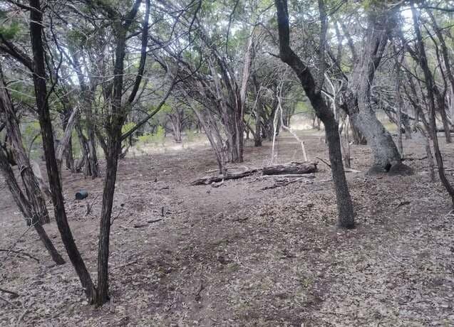 0  Frio, Bandera, TX 78003 — photo 4