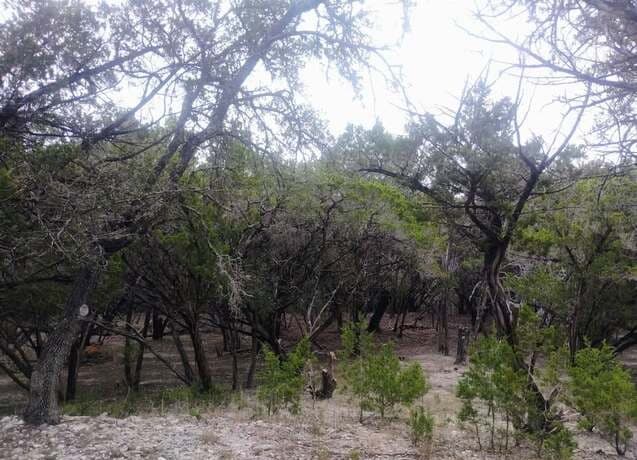 0  Frio, Bandera, TX 78003 — photo 5