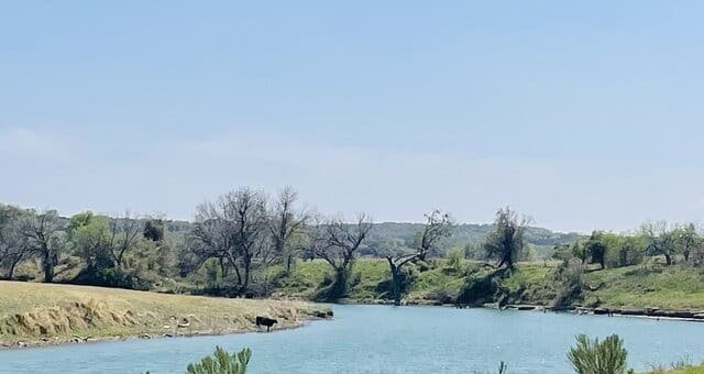 252  River Cliff, Spring Branch, TX 78070 — photo 18