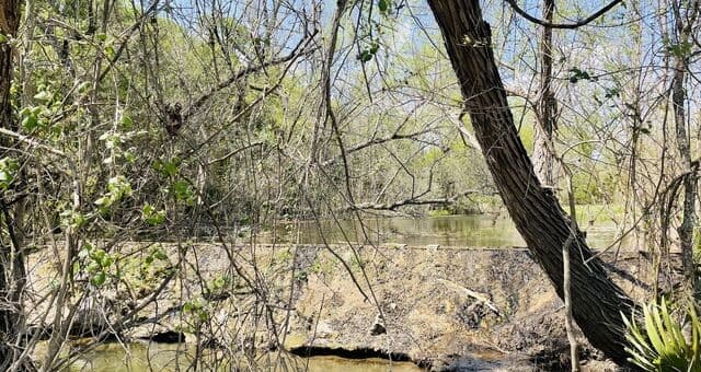 252  River Cliff, Spring Branch, TX 78070 — photo 21