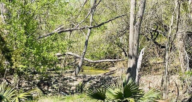 252  River Cliff, Spring Branch, TX 78070 — photo 22