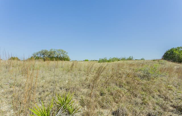 252  River Cliff, Spring Branch, TX 78070 — photo 5