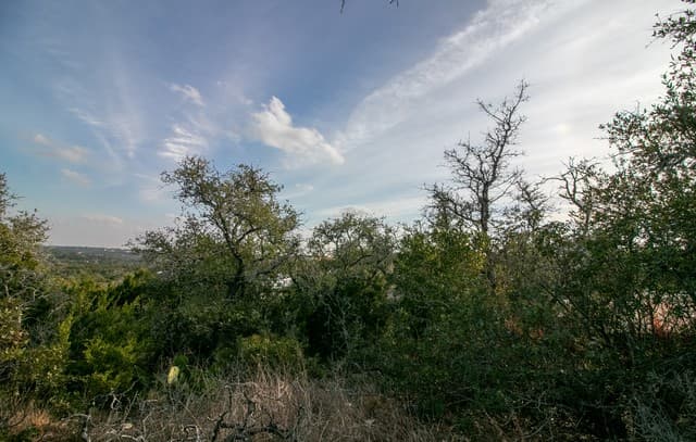 10028  Cates Creek, San Antonio, TX 78255 — photo 11