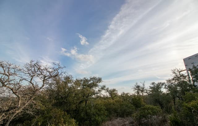 10028  Cates Creek, San Antonio, TX 78255 — photo 13