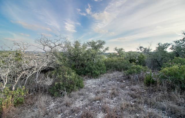 10028  Cates Creek, San Antonio, TX 78255 — photo 15