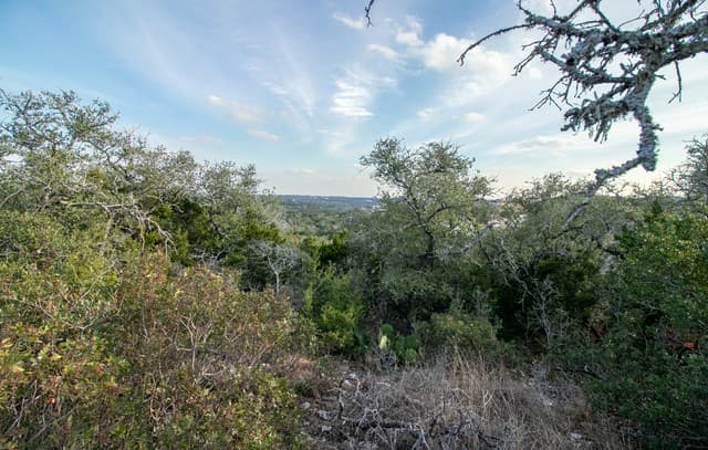 10028  Cates Creek, San Antonio, TX 78255 — photo 3