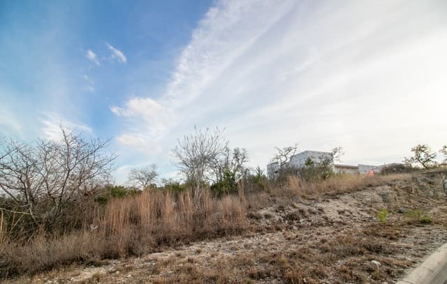 10028  Cates Creek, San Antonio, TX 78255 — photo 5