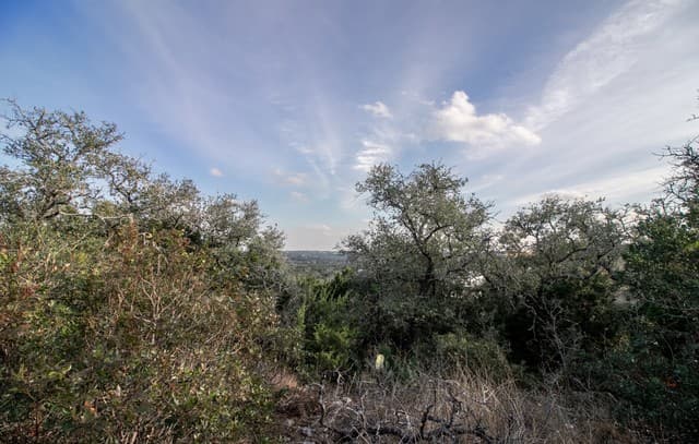 10028  Cates Creek, San Antonio, TX 78255 — photo 7