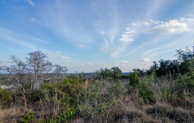 10028  Cates Creek, San Antonio, TX 78255 — photo 8