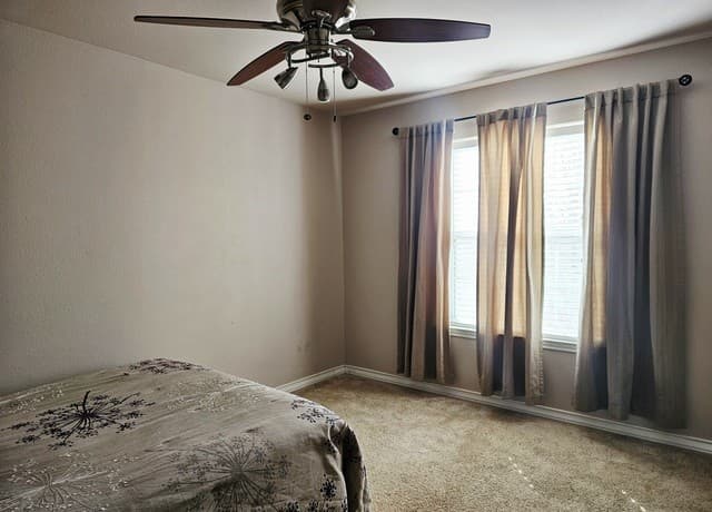 5615  Fm 462, Moore, TX 78057 — photo 10