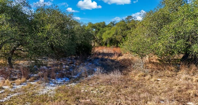 246  Dodder, Spring Branch, TX 78070 — photo 4