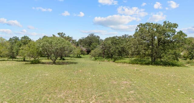 271  Hermosa, Poteet, TX 78065 — photo 13
