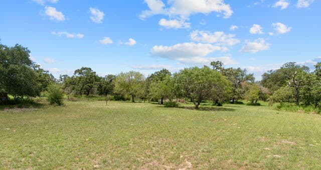 271  Hermosa, Poteet, TX 78065 — photo 16