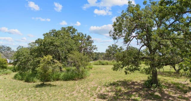 271  Hermosa, Poteet, TX 78065 — photo 17