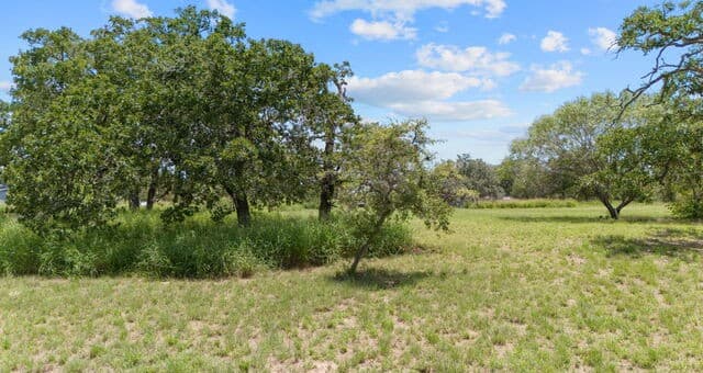 271  Hermosa, Poteet, TX 78065 — photo 18