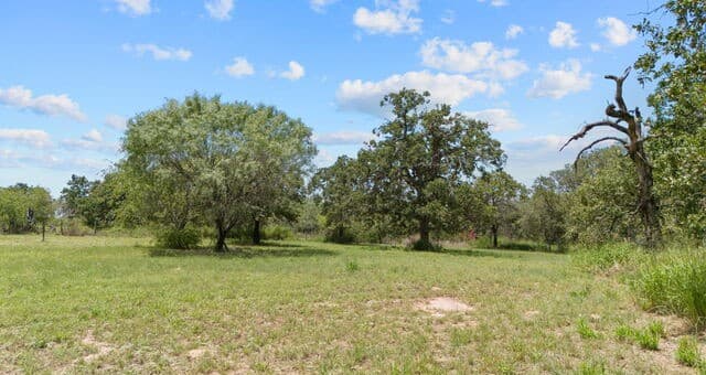 271  Hermosa, Poteet, TX 78065 — photo 20