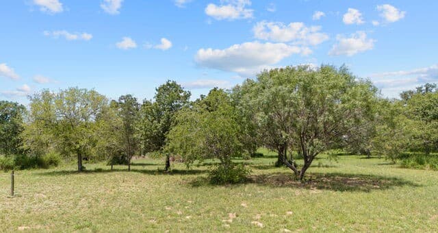 271  Hermosa, Poteet, TX 78065 — photo 21