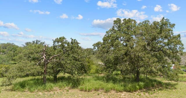 271  Hermosa, Poteet, TX 78065 — photo 22
