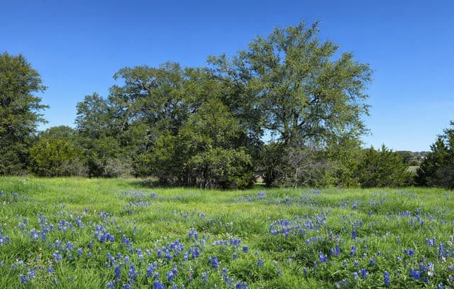 LOT 76  Horseshoe
