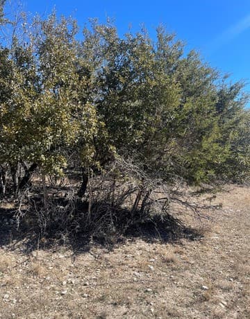 LOT #12  Enchanted River Dr., Bandera, TX 78003 — photo 2