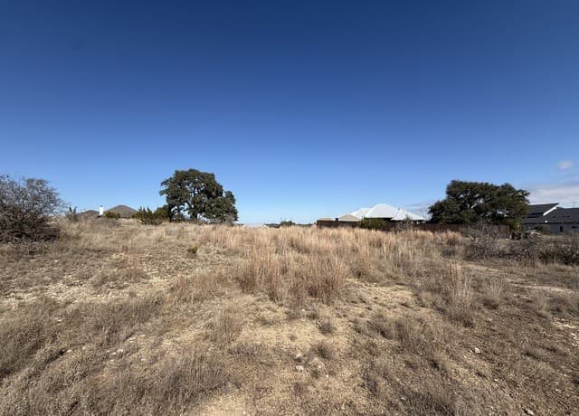 203  George Dolson, Blanco, TX 78606 — photo 3