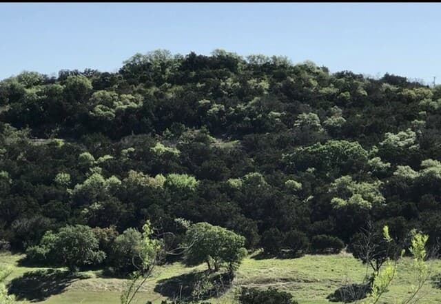 17719  Rancho Diana