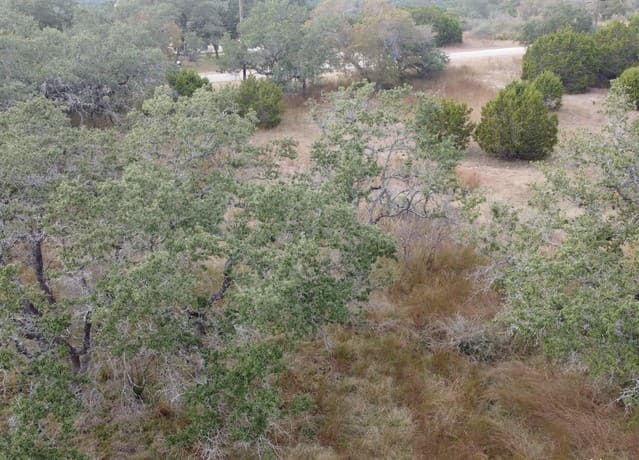 558  Mystic Breeze, Spring Branch, TX 78070 — photo 9