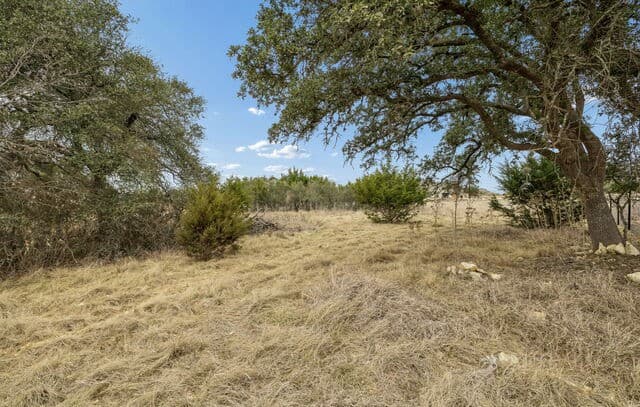 124  Hiram Cook, Blanco, TX 78606 — photo 15
