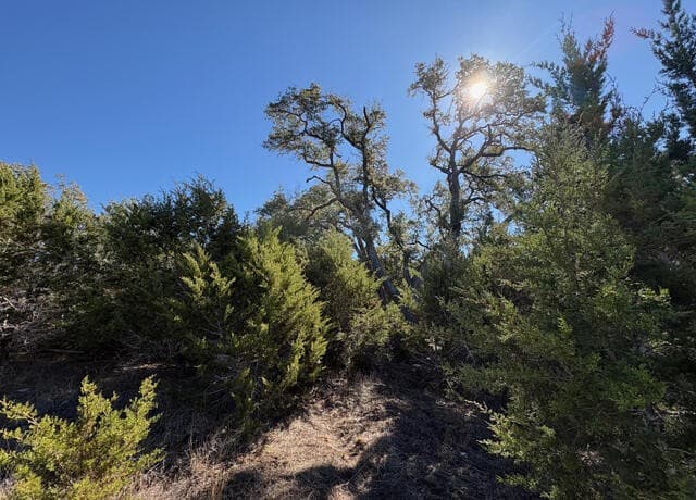 1035 (LOT 1777)  Mystic Breeze, Spring Branch, TX 78070 — photo 10