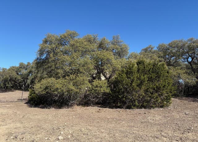 1035 (LOT 1777)  Mystic Breeze, Spring Branch, TX 78070 — photo 3