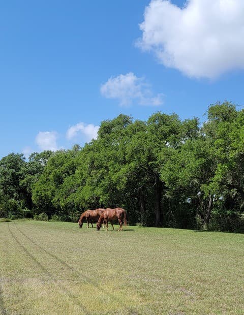 1035 (LOT 1777)  Mystic Breeze, Spring Branch, TX 78070 — photo 4