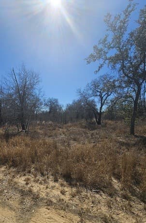 IH 35  Ih 35 Esm, Natalia, TX 78059 — photo 3