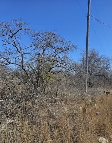 IH 35  Ih 35 Esm, Natalia, TX 78059 — photo 6