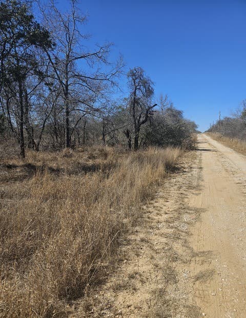 IH 35  Ih 35 Esm, Natalia, TX 78059 — photo 7