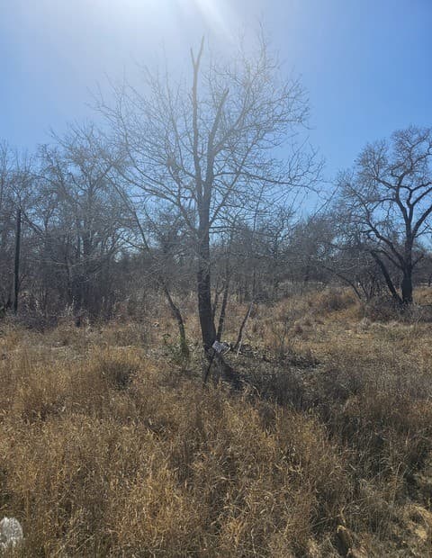IH 35  Ih 35 Esm, Natalia, TX 78059 — photo 8
