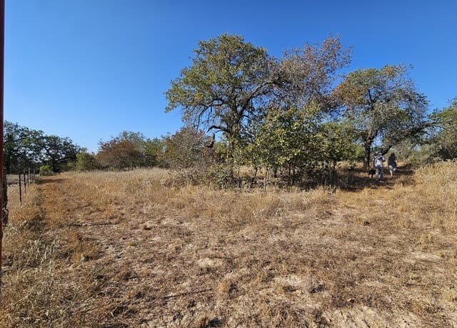 422  Pr Sunset Vista, Somerset, TX 78069 — photo 18