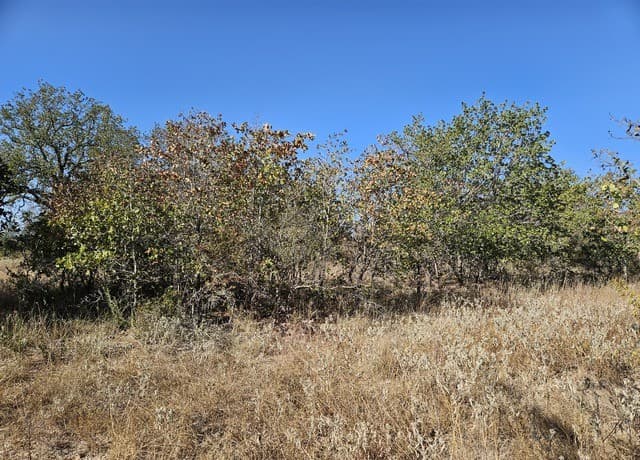 422  Pr Sunset Vista, Somerset, TX 78069 — photo 19