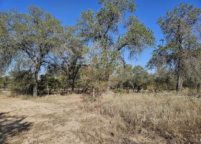 422  Pr Sunset Vista, Somerset, TX 78069 — photo 21