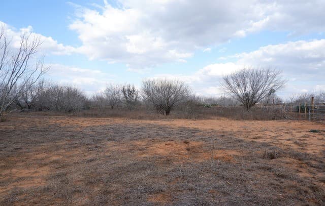 464  Cr354, Charlotte, TX 78011 — photo 16