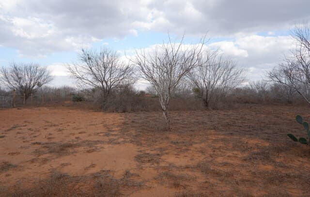 464  Cr354, Charlotte, TX 78011 — photo 19