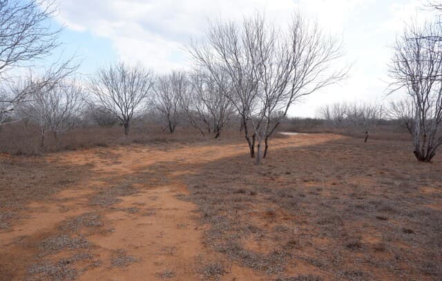 464  Cr354, Charlotte, TX 78011 — photo 21